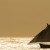 Old World globalisation and the Columbian Exchange