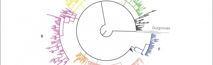 Genetic tracking of mice and other bioproxies Genetic tracking of mice and other bioproxies