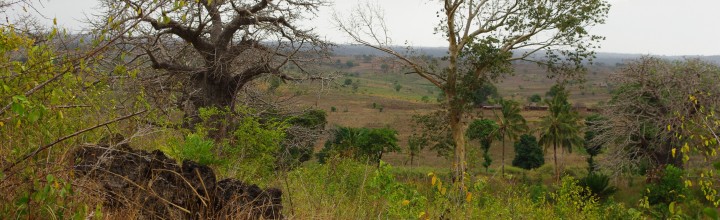 ACACIA Workshop: Environmental transition of the Iron Age in Africa ACACIA Workshop: Environmental transition of the Iron Age in Africa