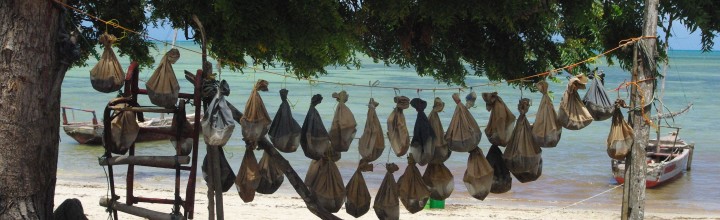 Indian Ocean food globalisation Indian Ocean food globalisation