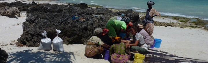 Colonisation of eastern African islands Colonisation of eastern African islands